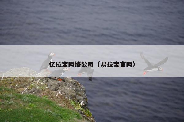 亿拉宝网络公司（易拉宝官网）