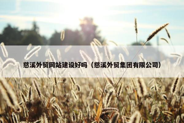 慈溪外贸网站建设好吗（慈溪外贸集团有限公司）