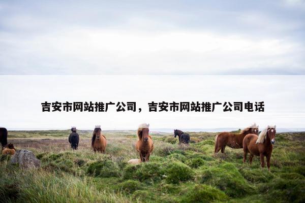吉安市网站推广公司，吉安市网站推广公司电话