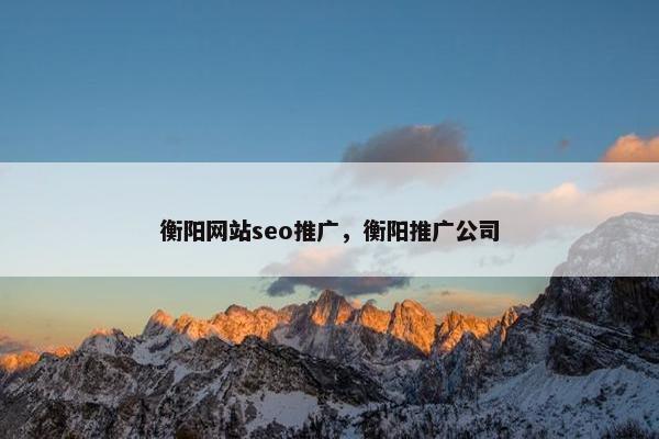 衡阳网站seo推广，衡阳推广公司