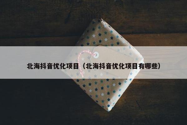 北海抖音优化项目（北海抖音优化项目有哪些）