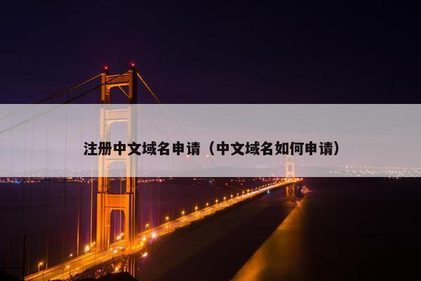 注册中文域名申请（中文域名如何申请）