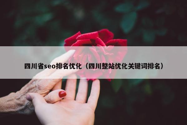 四川省seo排名优化（四川整站优化关键词排名）