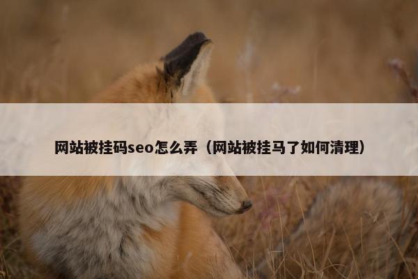 网站被挂码seo怎么弄（网站被挂马了如何清理）
