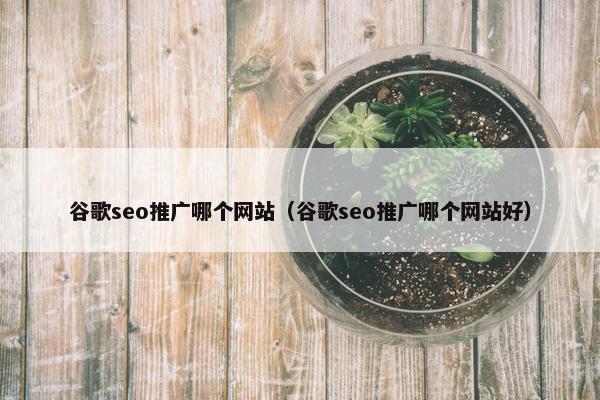 谷歌seo推广哪个网站（谷歌seo推广哪个网站好）