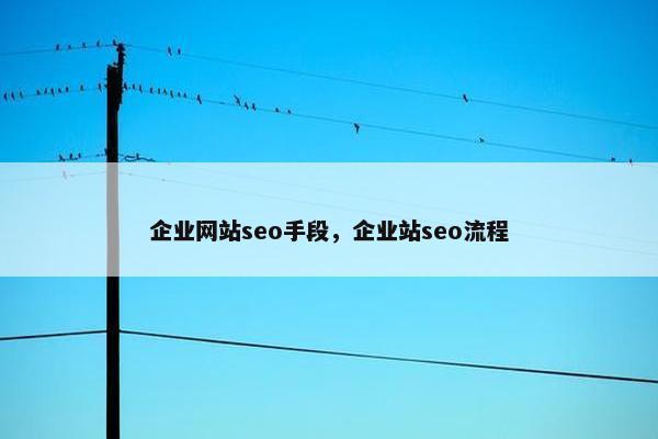 企业网站seo手段，企业站seo流程
