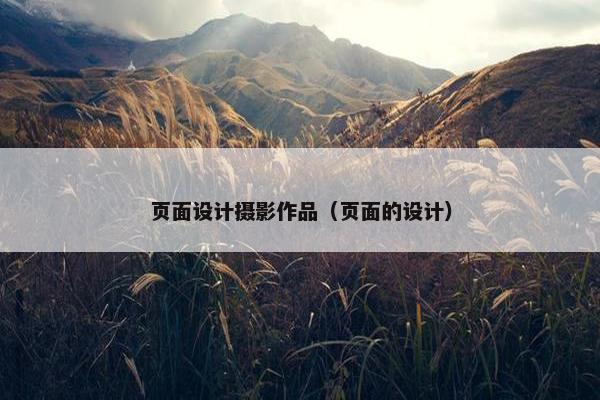 页面设计摄影作品（页面的设计）