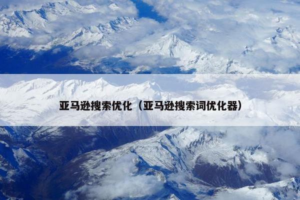 亚马逊搜索优化（亚马逊搜索词优化器）