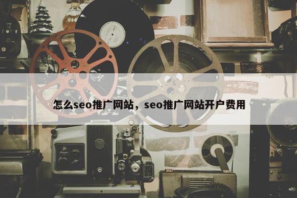 怎么seo推广网站，seo推广网站开户费用