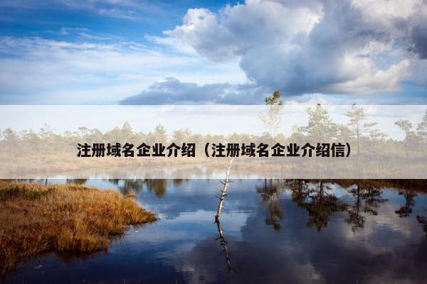 注册域名企业介绍（注册域名企业介绍信）