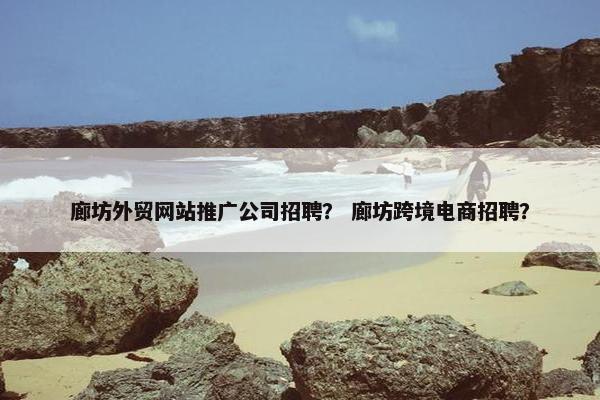廊坊外贸网站推广公司招聘？ 廊坊跨境电商招聘？