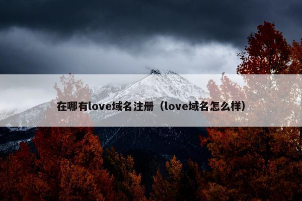在哪有love域名注册（love域名怎么样）
