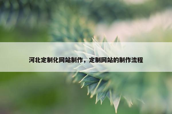 河北定制化网站制作，定制网站的制作流程