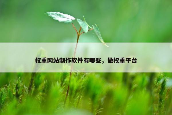 权重网站制作软件有哪些，做权重平台