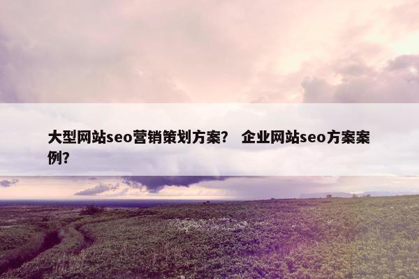 大型网站seo营销策划方案？ 企业网站seo方案案例？