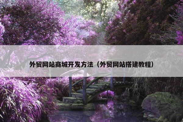外贸网站商城开发方法（外贸网站搭建教程）