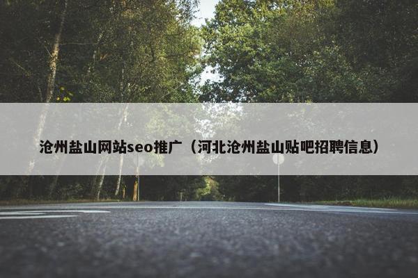 沧州盐山网站seo推广（河北沧州盐山贴吧招聘信息）