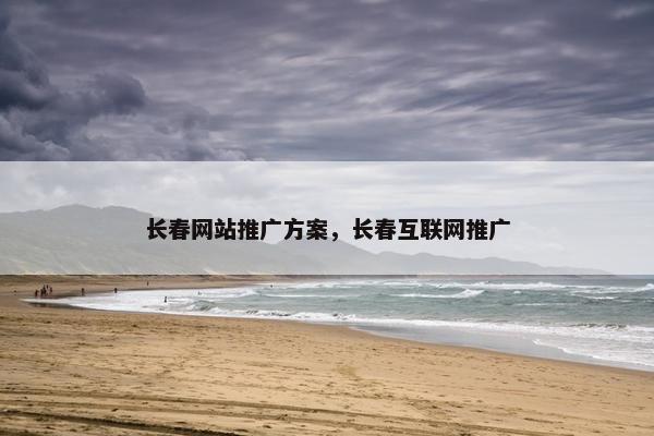 长春网站推广方案，长春互联网推广
