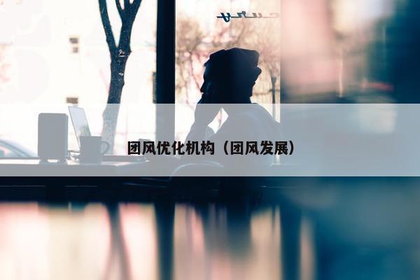 团风优化机构（团风发展）