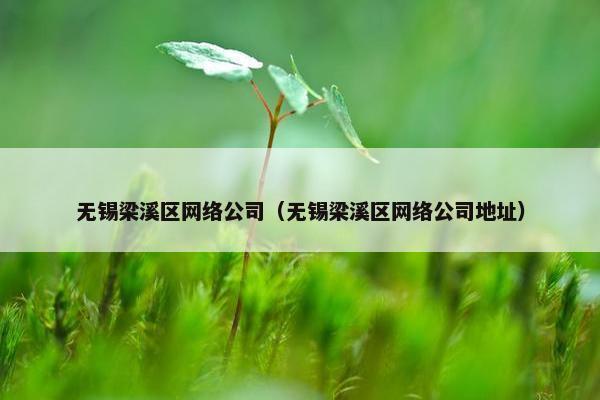 无锡梁溪区网络公司（无锡梁溪区网络公司地址）