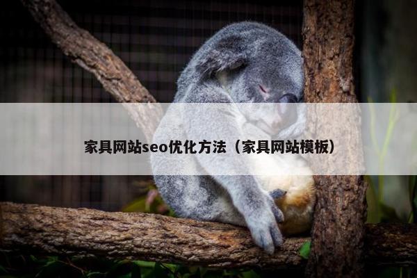 家具网站seo优化方法（家具网站模板）