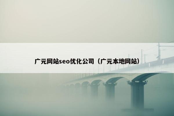 广元网站seo优化公司（广元本地网站）