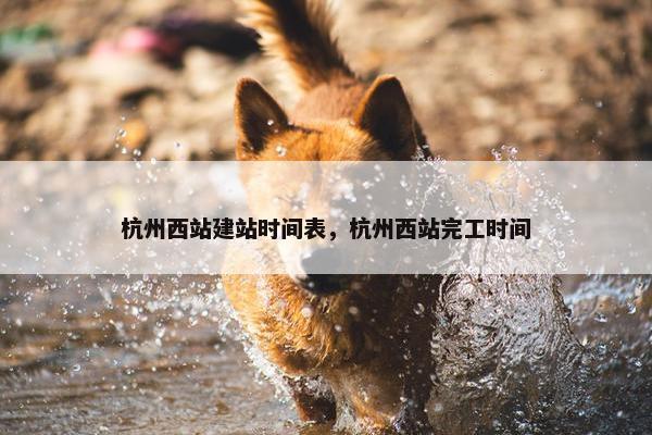 杭州西站建站时间表，杭州西站完工时间