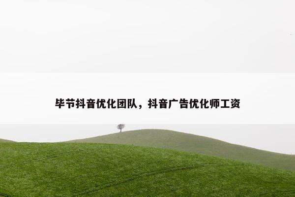毕节抖音优化团队，抖音广告优化师工资