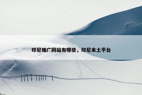 印尼推广网站有哪些，印尼本土平台