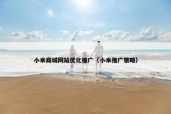 小米商城网站优化推广（小米推广策略）
