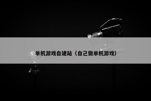 单机游戏自建站（自己做单机游戏）