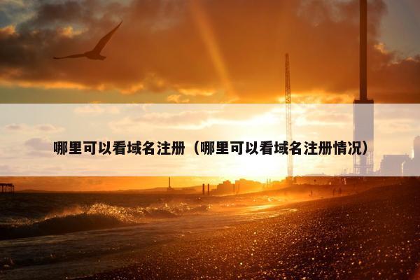 哪里可以看域名注册（哪里可以看域名注册情况）