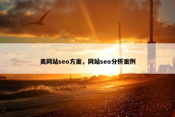 美网站seo方案，网站seo分析案例