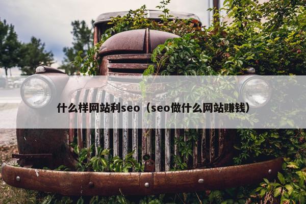 什么样网站利seo（seo做什么网站赚钱）