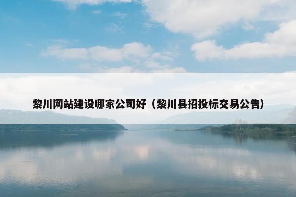 黎川网站建设哪家公司好（黎川县招投标交易公告）