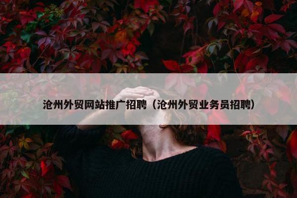 沧州外贸网站推广招聘（沧州外贸业务员招聘）