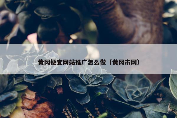 黄冈便宜网站推广怎么做（黄冈市网）