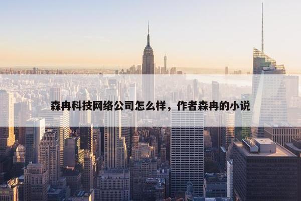 森冉科技网络公司怎么样，作者森冉的小说