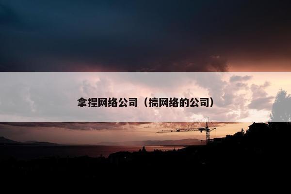 拿捏网络公司（搞网络的公司）