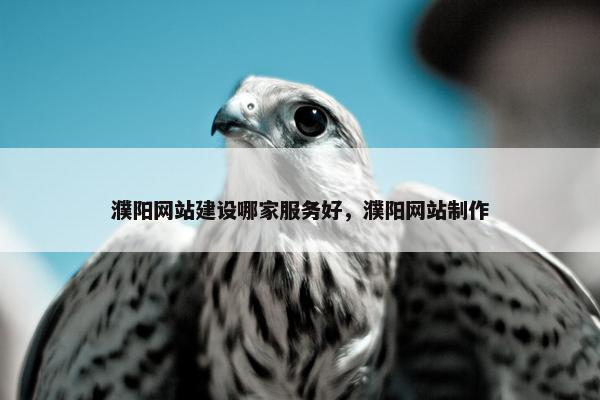 濮阳网站建设哪家服务好，濮阳网站制作