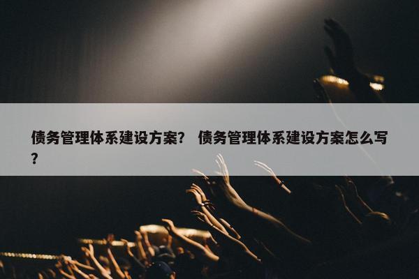 债务管理体系建设方案？ 债务管理体系建设方案怎么写？
