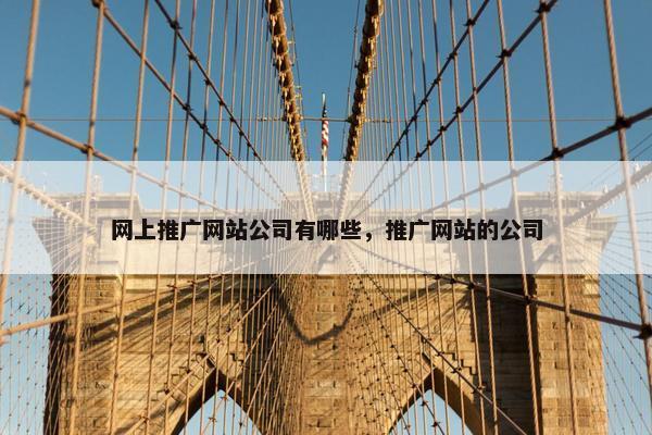 网上推广网站公司有哪些，推广网站的公司