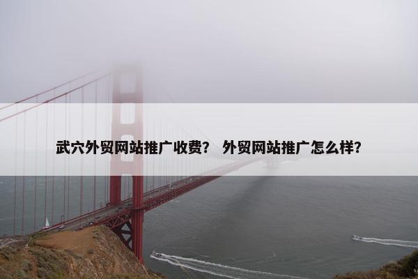 武穴外贸网站推广收费？ 外贸网站推广怎么样？