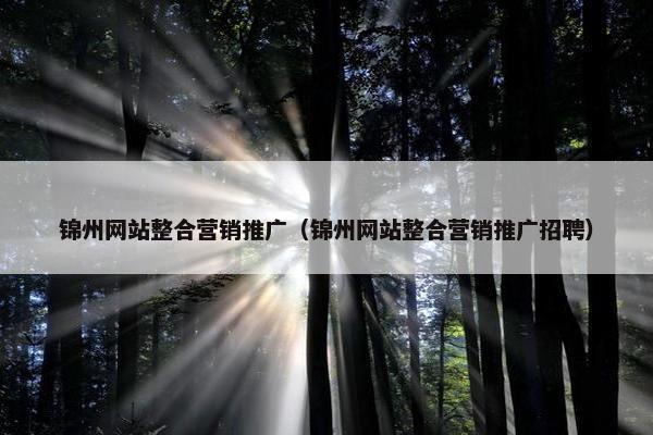锦州网站整合营销推广（锦州网站整合营销推广招聘）
