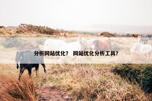 分析网站优化？ 网站优化分析工具？