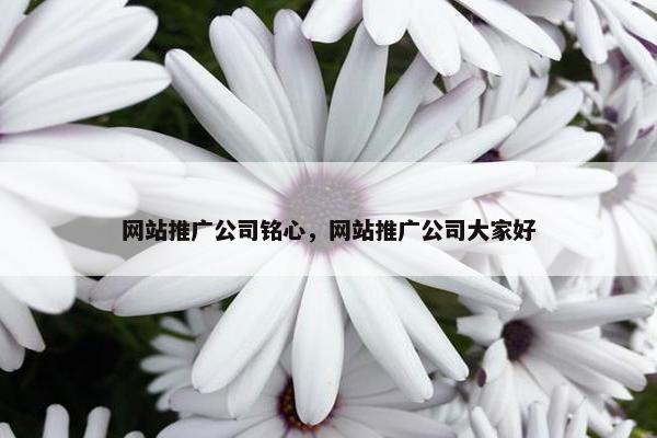 网站推广公司铭心，网站推广公司大家好
