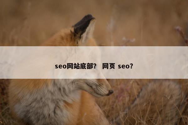 seo网站底部？ 网页 seo？