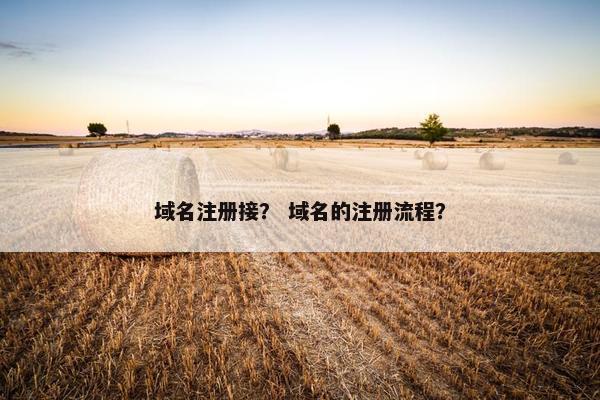 域名注册接？ 域名的注册流程？