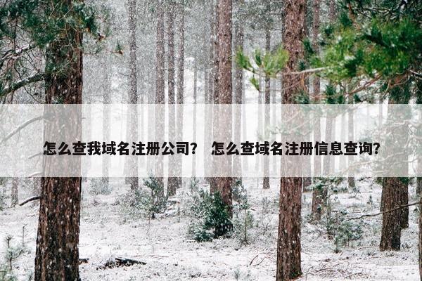 怎么查我域名注册公司？ 怎么查域名注册信息查询？
