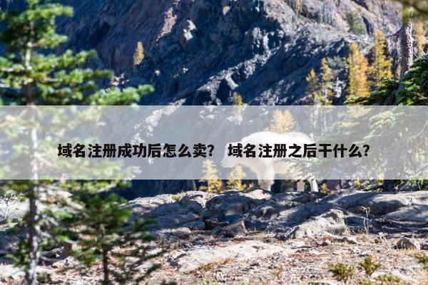 域名注册成功后怎么卖？ 域名注册之后干什么？